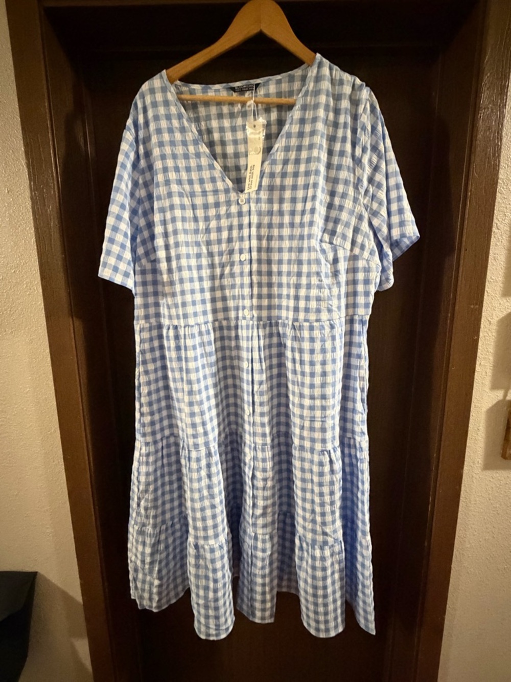 BloomChic Blue and White Gingham Dress